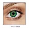 FreshLook Dimensions Neutre Ciba Vision - Ottica Molica
